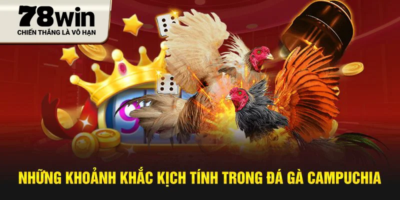 Những khoảnh khắc kịch tính trong đá gà Campuchia